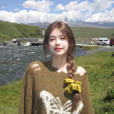 丽兹与迪克
